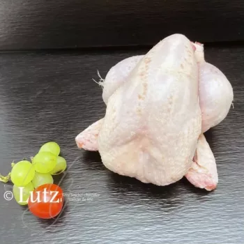 Coquelet prêt à cuire