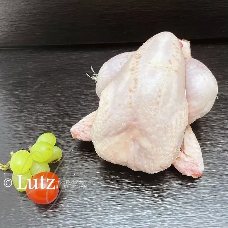 Coquelet prêt à cuire